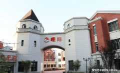 5年成功措置脑卒中案例显示